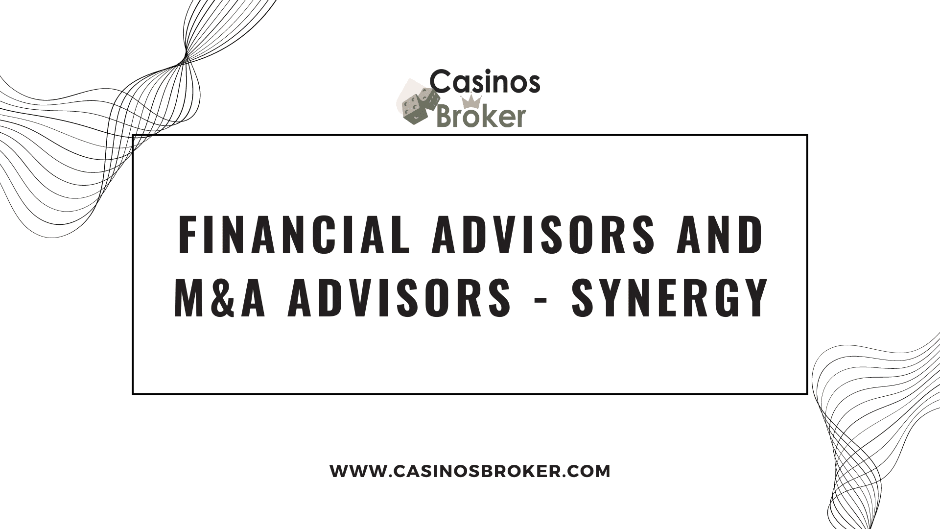 Consilieri financiari și consilieri M&A – Synergy