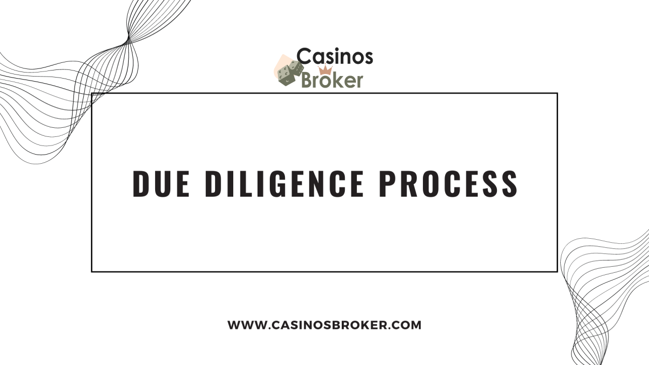 Processo di due diligence