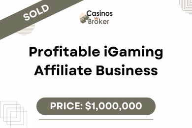 盈利的 iGaming 附属业务