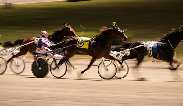Lawsuit Filed to Prevent Fraser Downs Closure Amid Pest Control Dispute